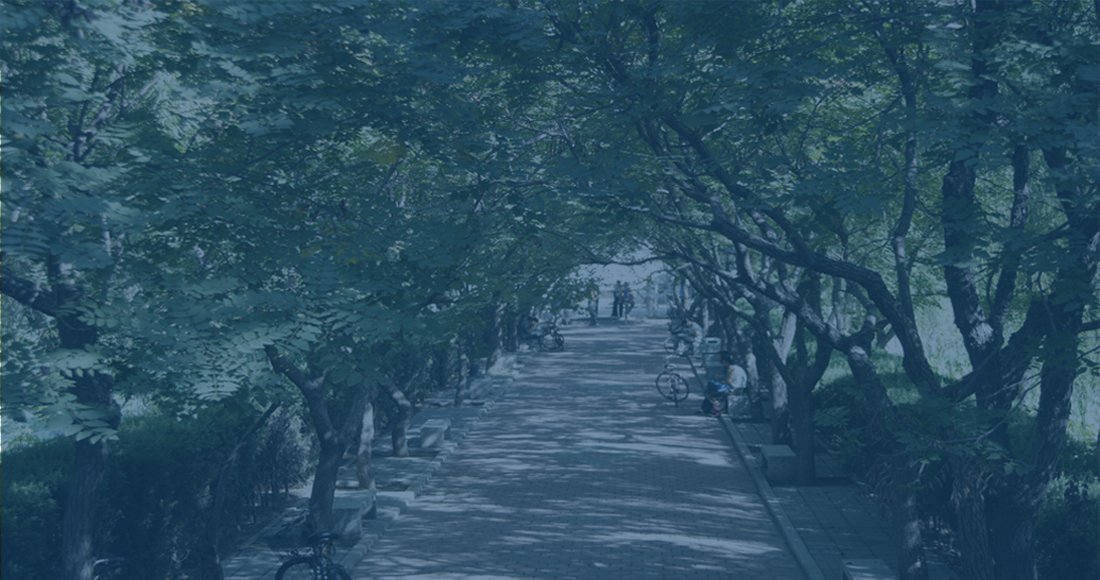94 Weijin Road,